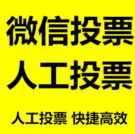 沈阳市投票活动拉票能被查出来吗？如何操作能不被发现？